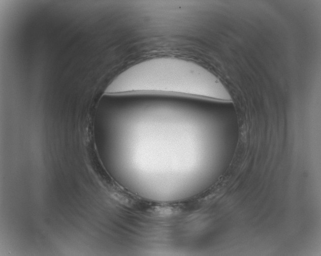 X0000075350464200609080817