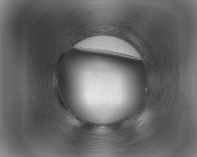 X0000075350467200609080817