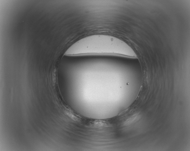 X0000075350475200609080817