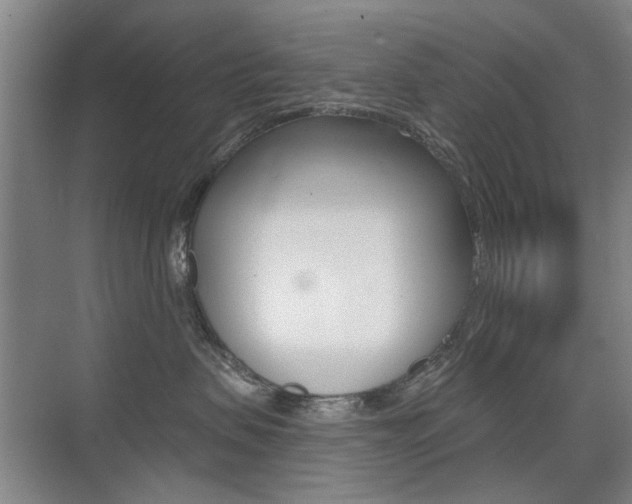 X0000075350479200609080817