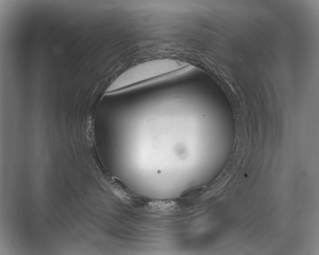 X0000075350480200609080817