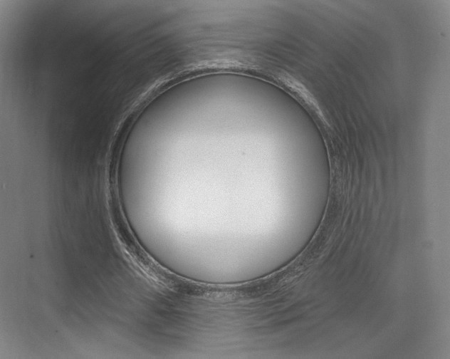 X0000075350482200609080816