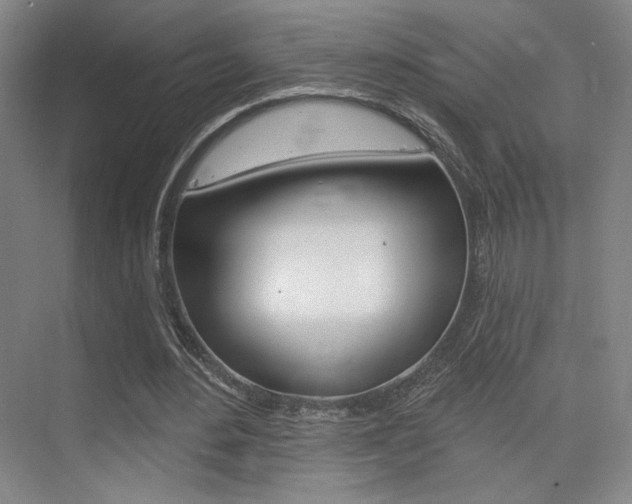 X0000075350484200609080816
