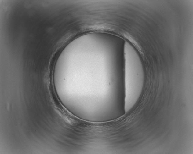 X0000075350486200609080816