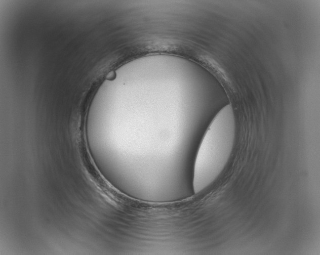 X0000075350490200609080816