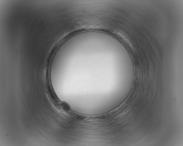 X0000075350491200609080816