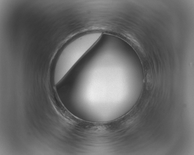 X0000075350492200609080816
