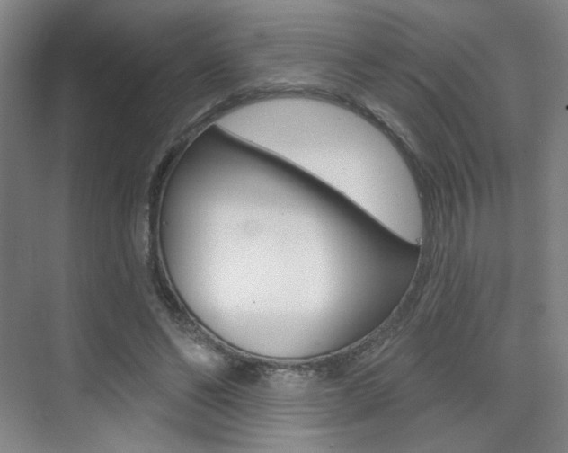 X0000075350494200609080816