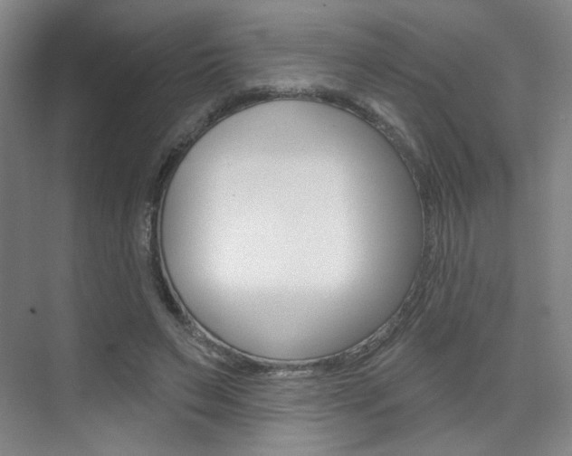 X0000075350495200609080816