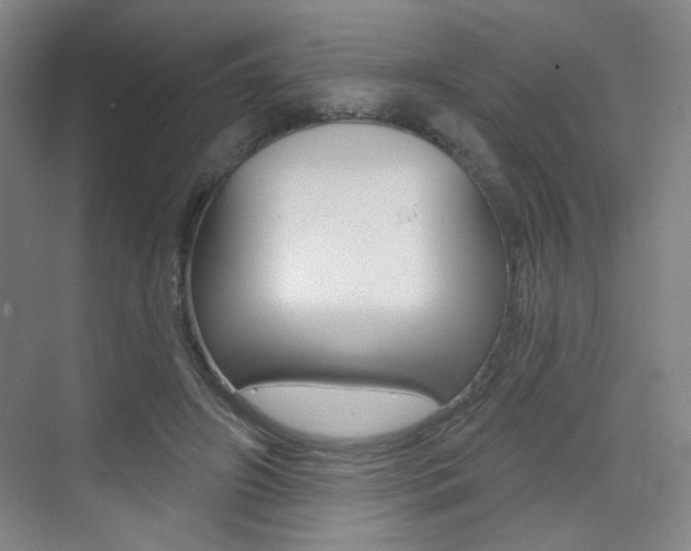 X0000075350498200609080816