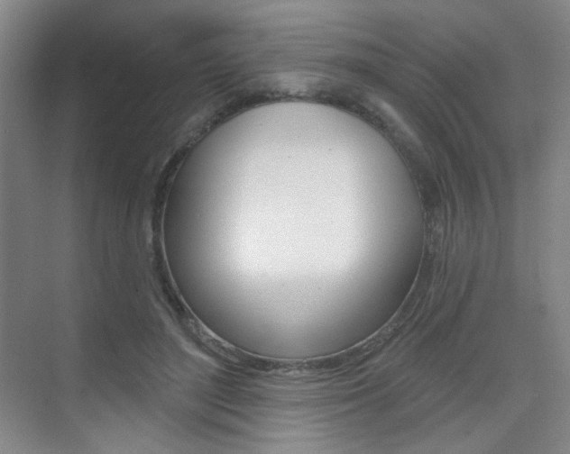 X0000075350500200609080816