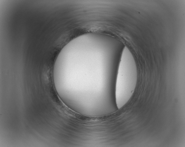 X0000075350503200609080816