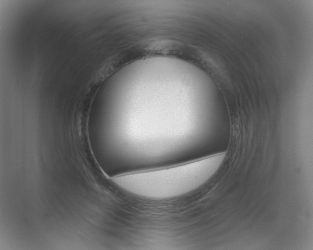X0000075350504200609080816