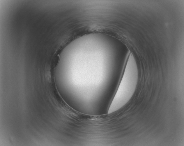 X0000075350508200609080816