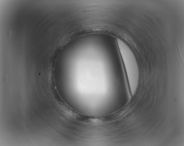 X0000075350509200609080816