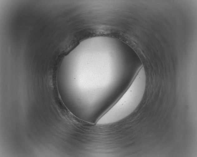 X0000075350512200609080816