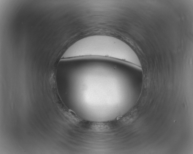X0000075350521200609080816