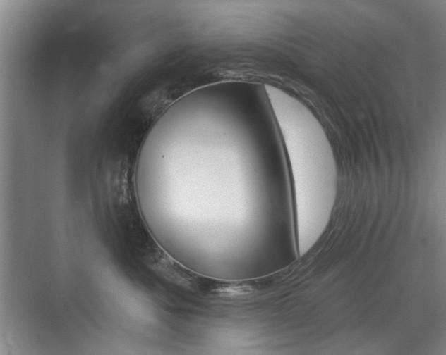 X0000075350525200609080816