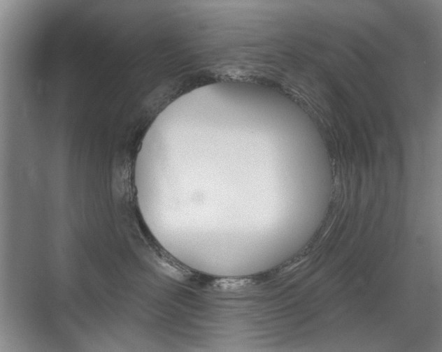 X0000075350526200609080816