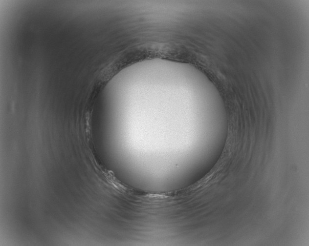 X0000075350528200609080816