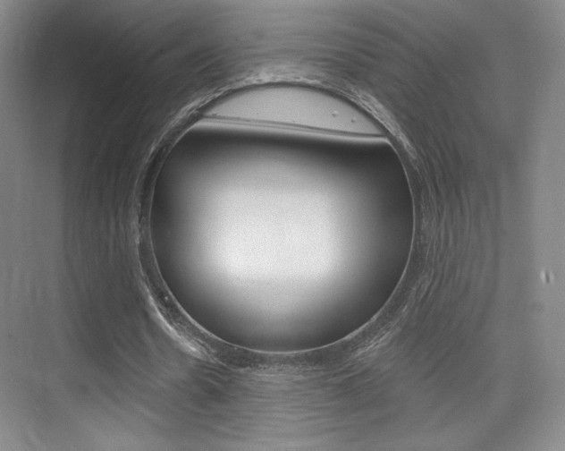 X0000075350530200609080815