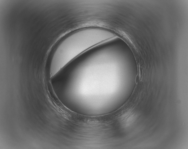 X0000075350531200609080815