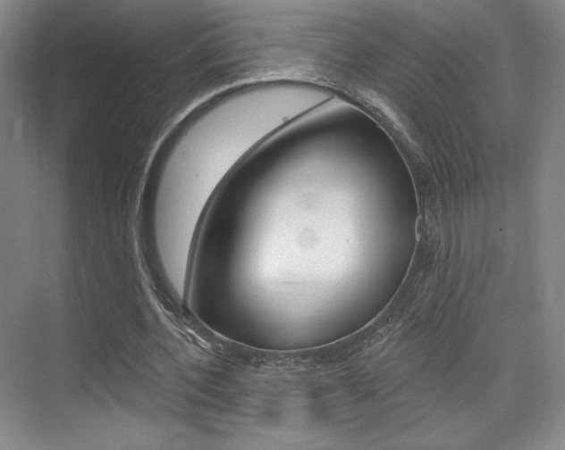 X0000075350532200609080815