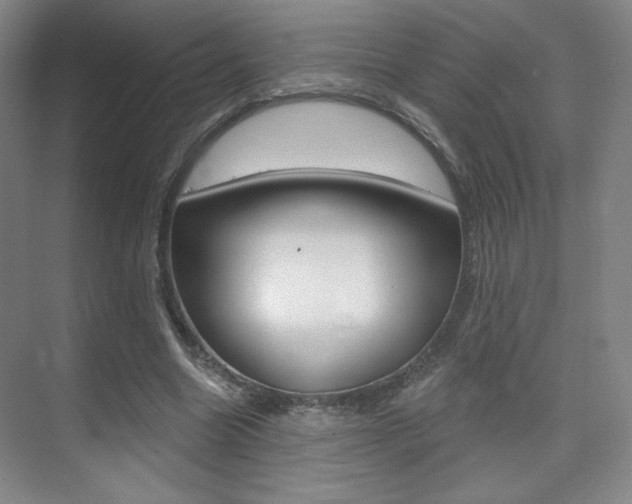 X0000075350538200609080815