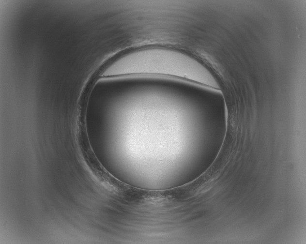 X0000075350540200609080815