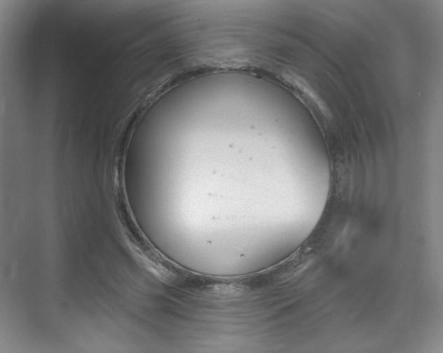 X0000075350541200609080815