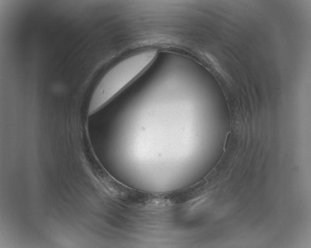 X0000075350543200609080815
