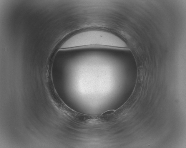 X0000075350544200609080815