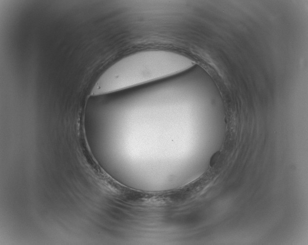 X0000075350545200609080815