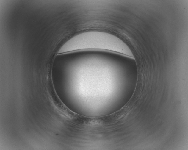 X0000075350546200609080815