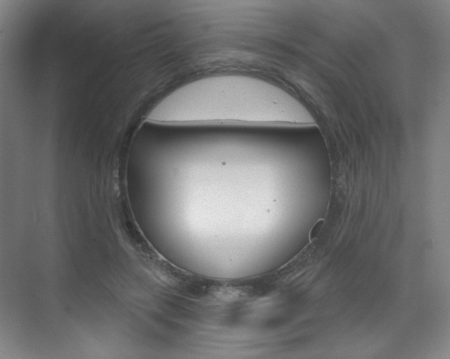X0000075350547200609080815
