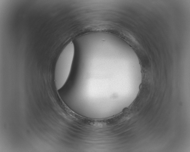 X0000075350549200609080815