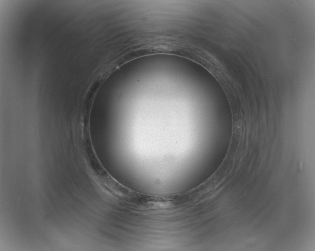 X0000075350552200609080815