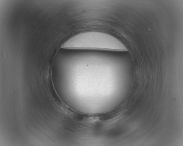 X0000075350554200609080815
