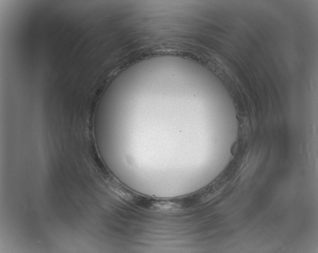 X0000075350557200609080815