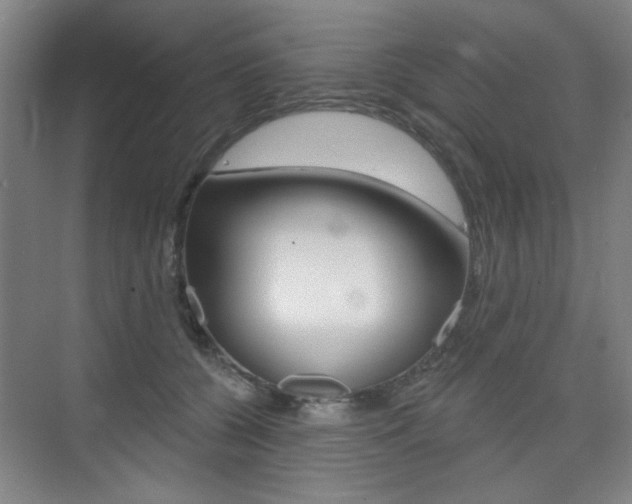 X0000075350560200609080815