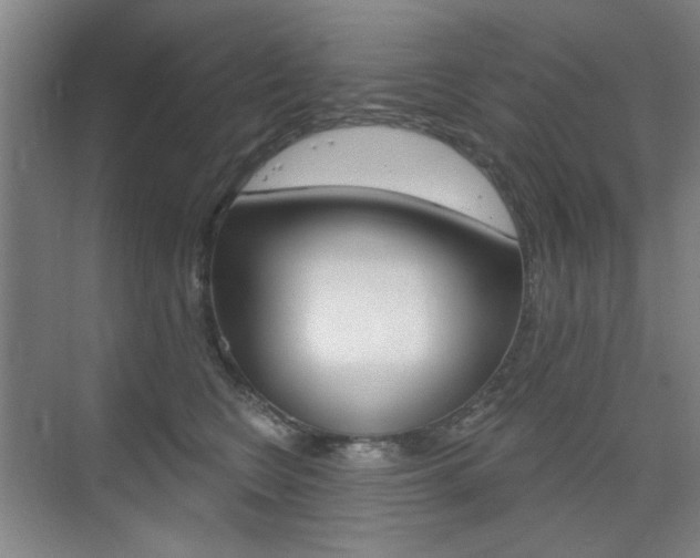 X0000075350566200609080816
