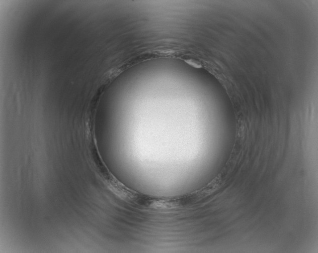 X0000075350568200609080816