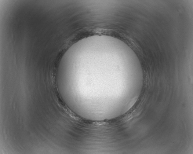 X0000075350569200609080816