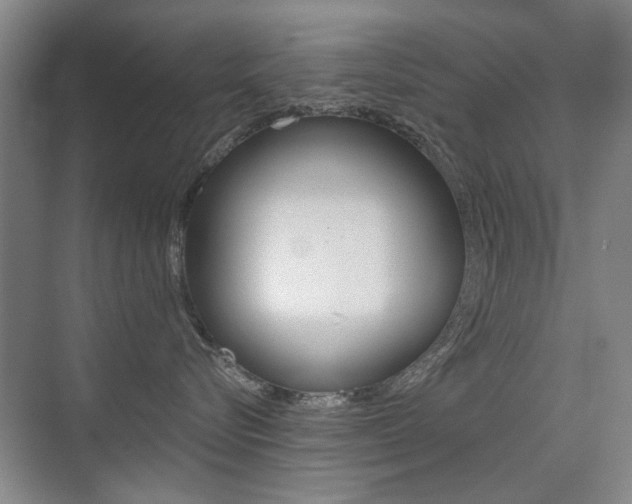 X0000075350576200609080816
