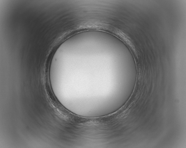 X0000075350578200609080815