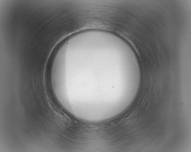 X0000075350579200609080815