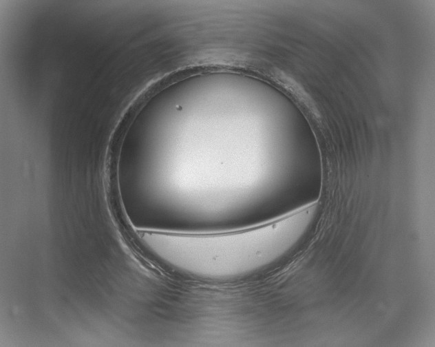 X0000075350580200609080815