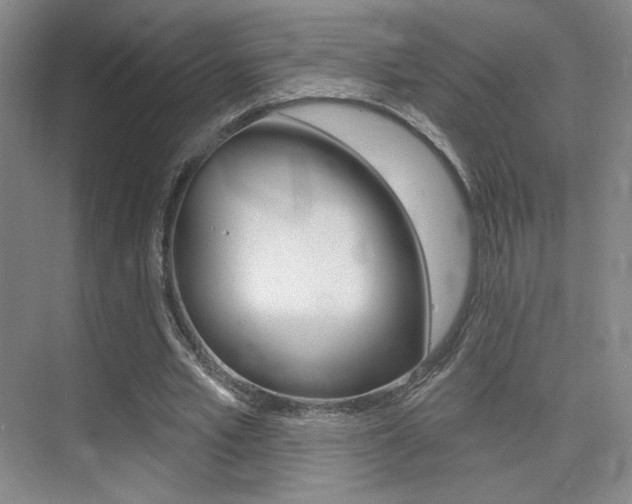 X0000075350581200609080815