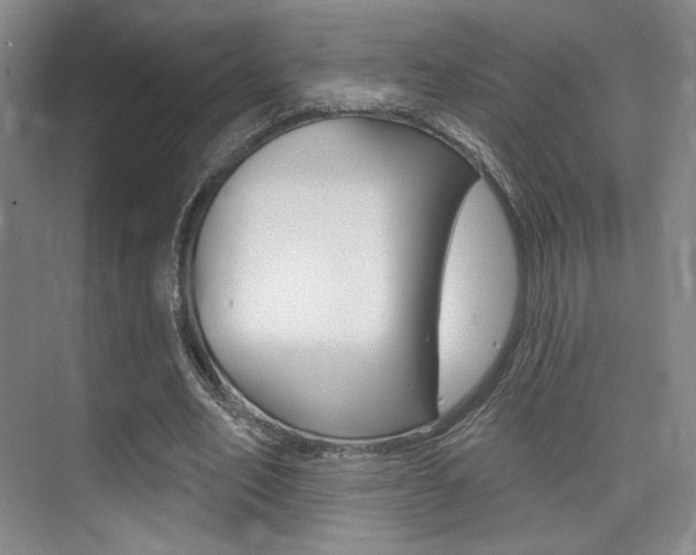 X0000075350582200609080815