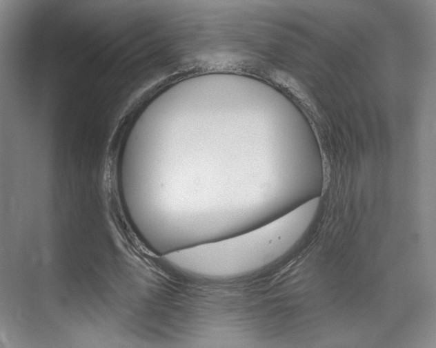 X0000075350583200609080815
